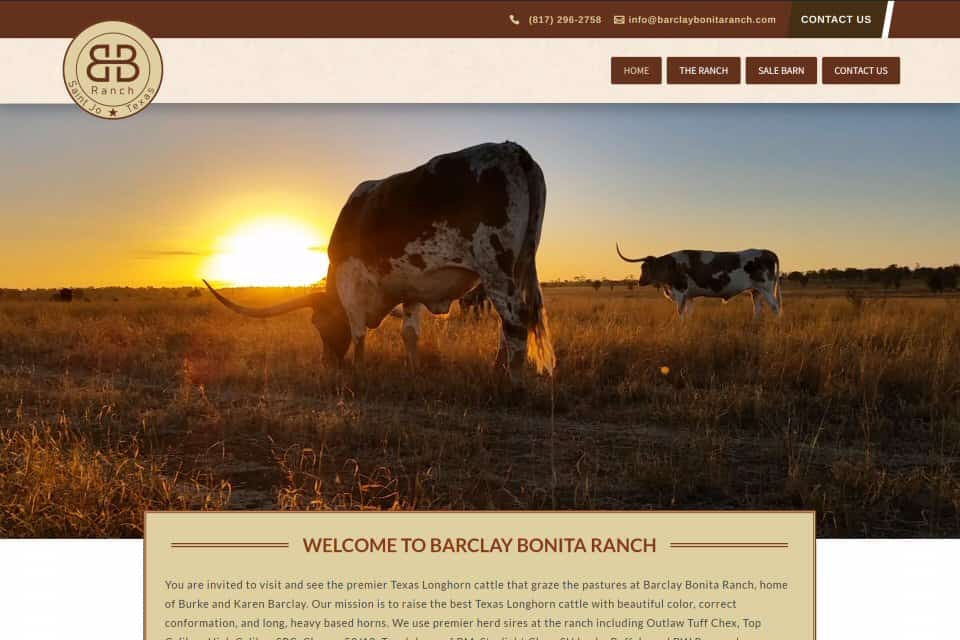 Barclay Bonita Ranch by T-Shirt Memory Quilts